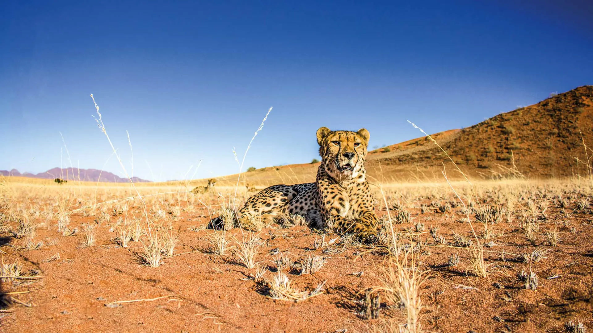 Namibia